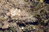  ( - MBIO2115.1)  @11 [ ] Unspecified (default): All Rights Reserved  Unspecified Unspecified