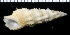  ( - MBIO2247.1)  @11 [ ] Unspecified (default): All Rights Reserved  Unspecified Unspecified