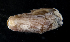  ( - MBIO2586.1)  @13 [ ] Unspecified (default): All Rights Reserved  Unspecified Unspecified