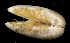  ( - MBIO2659.1)  @13 [ ] Unspecified (default): All Rights Reserved  Unspecified Unspecified