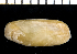  ( - MBIO2660.1)  @13 [ ] Unspecified (default): All Rights Reserved  Unspecified Unspecified