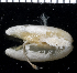  ( - MBIO2742.1)  @13 [ ] Unspecified (default): All Rights Reserved  Unspecified Unspecified