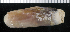 ( - MBIO2853.1)  @12 [ ] Unspecified (default): All Rights Reserved  Unspecified Unspecified