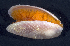  ( - MBIO2938.1)  @11 [ ] Unspecified (default): All Rights Reserved  Unspecified Unspecified