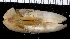  ( - MBIO3095.1)  @13 [ ] Unspecified (default): All Rights Reserved  Unspecified Unspecified