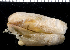  ( - MBIO3096.1)  @13 [ ] Unspecified (default): All Rights Reserved  Unspecified Unspecified