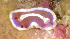  (Verconia - MBIO3268.1)  @12 [ ] Unspecified (default): All Rights Reserved  Unspecified Unspecified