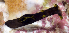  ( - MBIO3721.1)  @11 [ ] Unspecified (default): All Rights Reserved  Unspecified Unspecified