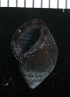  ( - MBIO3805.1)  @11 [ ] Unspecified (default): All Rights Reserved  Unspecified Unspecified