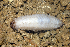  ( - MBIO2125.1)  @11 [ ] Unspecified (default): All Rights Reserved  Unspecified Unspecified