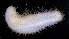  ( - MBIO2233.1)  @11 [ ] Unspecified (default): All Rights Reserved  Unspecified Unspecified