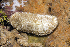  ( - MBIO2273.1)  @11 [ ] Unspecified (default): All Rights Reserved  Unspecified Unspecified