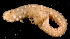  ( - MBIO2459.1)  @11 [ ] Unspecified (default): All Rights Reserved  Unspecified Unspecified
