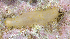  ( - MBIO2515.1)  @11 [ ] Unspecified (default): All Rights Reserved  Unspecified Unspecified