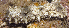  ( - MBIO2738.1)  @12 [ ] Unspecified (default): All Rights Reserved  Unspecified Unspecified