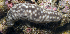  ( - MBIO2752.1)  @11 [ ] Unspecified (default): All Rights Reserved  Unspecified Unspecified