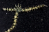  ( - MBIO3090.1)  @11 [ ] Unspecified (default): All Rights Reserved  Unspecified Unspecified