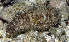  ( - MBIO3236.1)  @11 [ ] Unspecified (default): All Rights Reserved  Unspecified Unspecified