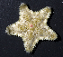  ( - MBIO3727.1)  @11 [ ] Unspecified (default): All Rights Reserved  Unspecified Unspecified