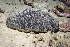  ( - MBIO3757.1)  @11 [ ] Unspecified (default): All Rights Reserved  Unspecified Unspecified