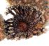  ( - MBIO3760.1)  @11 [ ] Unspecified (default): All Rights Reserved  Unspecified Unspecified