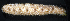  ( - MBIO3965.1)  @11 [ ] Unspecified (default): All Rights Reserved  Unspecified Unspecified