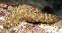  ( - MBIO3967.1)  @11 [ ] Unspecified (default): All Rights Reserved  Unspecified Unspecified