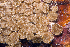  ( - MBIO2489.1)  @11 [ ] Unspecified (default): All Rights Reserved  Unspecified Unspecified