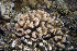  ( - MBIO3517.1)  @11 [ ] Unspecified (default): All Rights Reserved  Unspecified Unspecified
