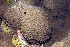  ( - MBIO3531.1)  @11 [ ] Unspecified (default): All Rights Reserved  Unspecified Unspecified