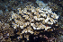  ( - MBIO3597.1)  @11 [ ] Unspecified (default): All Rights Reserved  Unspecified Unspecified