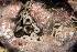  ( - MBIO3904.1)  @11 [ ] Unspecified (default): All Rights Reserved  Unspecified Unspecified