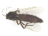  ( - TSZD-PD-300059)  @11 [ ] by-nc-sa (2022) Unspecified Tromsoe University Museum
