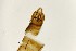  ( - TSZD-PD-300101)  @11 [ ] by-nc-sa (2023) Unspecified Tromsoe University Museum