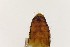  ( - TSZD-PD-300131)  @11 [ ] by-nc-sa (2023) Unspecified Tromsoe University Museum