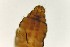  ( - TSZD-PD-300132)  @11 [ ] by-nc-sa (2023) Unspecified Tromsoe University Museum