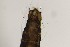  ( - TSZD-PD-300159)  @11 [ ] by-nc-sa (2023) Unspecified Tromsoe University Museum