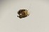  ( - TSZD-PD-300163)  @11 [ ] by-nc-sa (2023) Unspecified Tromsoe University Museum