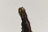  ( - TSZD-PD-300164)  @11 [ ] by-nc-sa (2023) Unspecified Tromsoe University Museum