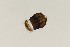  ( - TSZD-PD-300170)  @11 [ ] by-nc-sa (2023) Unspecified Tromsoe University Museum