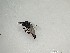  ( - TSZD-PD-300222)  @11 [ ] by-nc-sa (2022) Unspecified Tromsoe University Museum