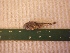  ( - MBP246)  @12 [ ] No Rights Reserved  Unspecified Unspecified