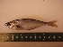  ( - MBP122)  @11 [ ] No Rights Reserved  Unspecified Unspecified