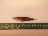  ( - MBP131)  @12 [ ] No Rights Reserved  Unspecified Unspecified