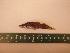  ( - MBP132)  @12 [ ] No Rights Reserved  Unspecified Unspecified