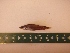 ( - MBP133)  @12 [ ] No Rights Reserved  Unspecified Unspecified