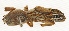  ( - BuFiGgAd-dr-H3)  @11 [ ] CreativeCommons - Attribution Non-Commercial Share-Alike (2018) Unspecified Unspecified