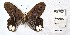  ( - CBMP0456)  @11 [ ] Unspecified (default): All Rights Reserved (2022) Copyright photoshop