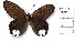  ( - CBMP0457)  @11 [ ] Unspecified (default): All Rights Reserved (2022) Copyright photoshop