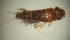  ( - MCSIM 5)  @11 [ ] Unspecified (default): All Rights Reserved (2013) C. Selvakumar University of Madras